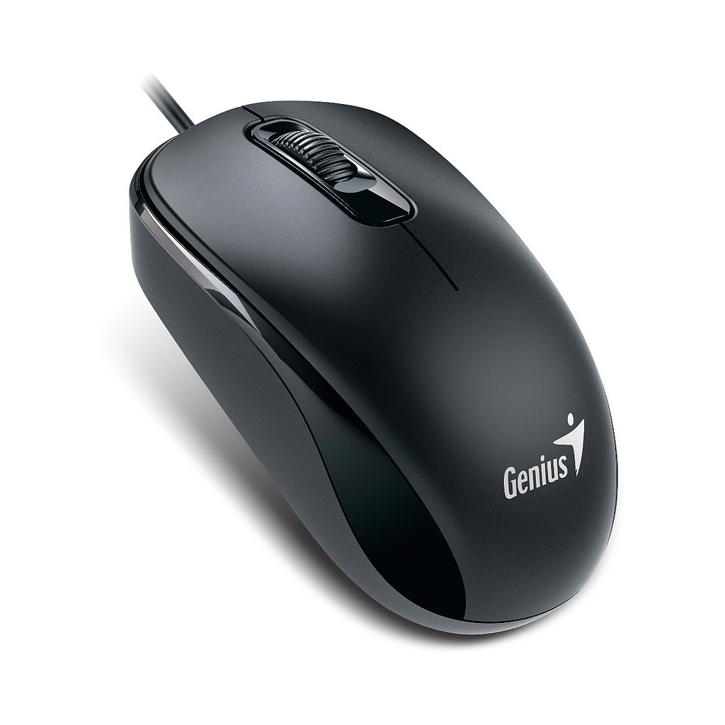 Mouse GENIUS DX110 Negro